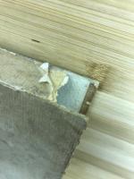 荒野之光 : 聖者の生活