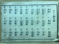 新板　棚雛形
