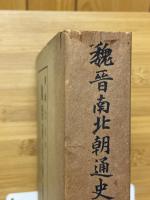 魏晋南北朝通史