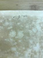 現代女性心理と貞操問題