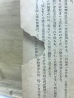 十五対一 : ビルマの死闘