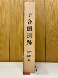 子合頭遺跡　資料図版編