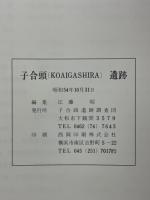 子合頭遺跡　資料図版編