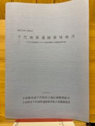 千代南原遺跡第Ⅶ地点　千代台地南縁部における低湿地遺跡の発掘調査報告書