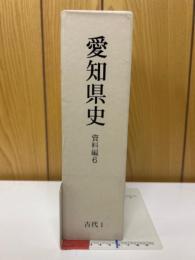 愛知県史　資料編6
