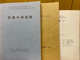 黒熊中西遺跡（1）　関越自動車道(上越線)地域埋蔵文化財発掘調査報告書第10集