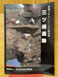 三ツ俣遺跡　発掘されたいにしえの国府津　