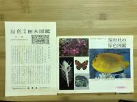 原色日本樹木図鑑