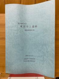 東京都町田市　東雲寺上遺跡　発掘調査報告書