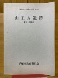 山王A遺跡　第2・3地点