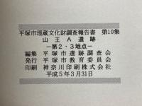 山王A遺跡　第2・3地点