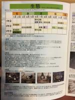 東京のクワガタムシ　東京周辺で観察できるクワガタムシを完全網羅