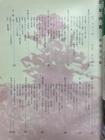 新奄美大観