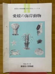 愛媛の海岸動物