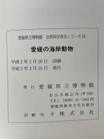 愛媛の海岸動物