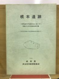 根本遺跡 : 一般国道248号道路改良工事に伴う埋蔵文化財発掘調査報告書
