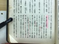 真宗辞典