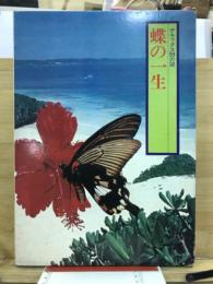 蝶の一生