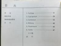 NOS入賞花集