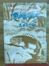 魚のおいたち