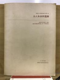 大八木水田遺跡 : 高崎市北部第三地区土地区画整理事業に伴う調査報告