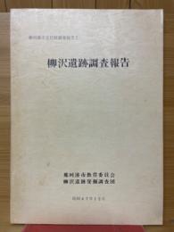 柳沢遺跡調査報告