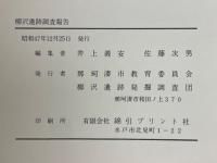 柳沢遺跡調査報告