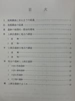 荒砥上諏訪遺跡