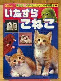 いたずらこねこ