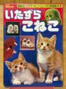  いたずらこねこ ＜ガチャピン・ムックの写真絵本 6＞