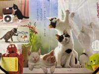  いたずらこねこ