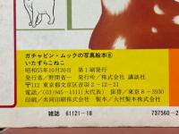  いたずらこねこ