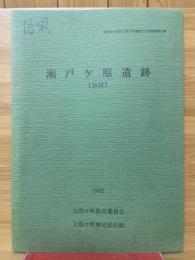 瀬戸ケ原遺跡（B区）