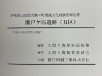 瀬戸ケ原遺跡（B区）