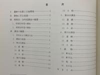 史跡上野国分寺跡発掘調査概要