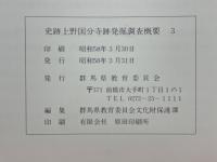 史跡上野国分寺跡発掘調査概要