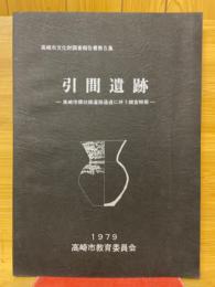 引間遺跡　高崎市環状線道路通過に伴う調査概報