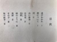 せめて洩れつづける傷口を : 詩集