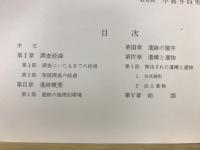 矢ノ口遺跡 : 昭和61年度県営圃場事業湯川地区内埋蔵文化財発掘調査報告