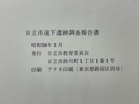 日立市遠下遺跡調査報告書
