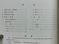 史跡上野国分寺跡発掘調査概要