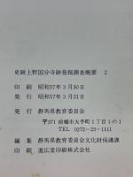 史跡上野国分寺跡発掘調査概要