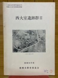 西大室遺跡群Ⅱ　土地改良事業実施地区内埋蔵文化財発掘調査概報