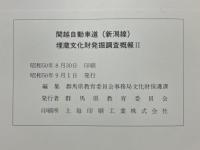 関越自動車道(新潟線)埋蔵文化財発掘調査概報