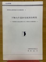 下触向井遺跡発掘調査概報　今井南部土地改良事業に伴なう埋蔵文化財調査報告