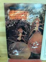 五年の学習　1学期開始号