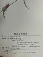 恵那山の草花