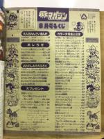 テレビマガジン