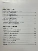 雲南のシャクナゲ