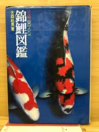 錦鯉図鑑